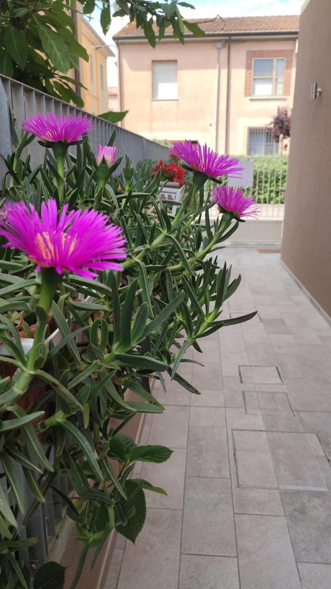 Darsena B&B Tra Arte E Mare Ravenna Exteriör bild